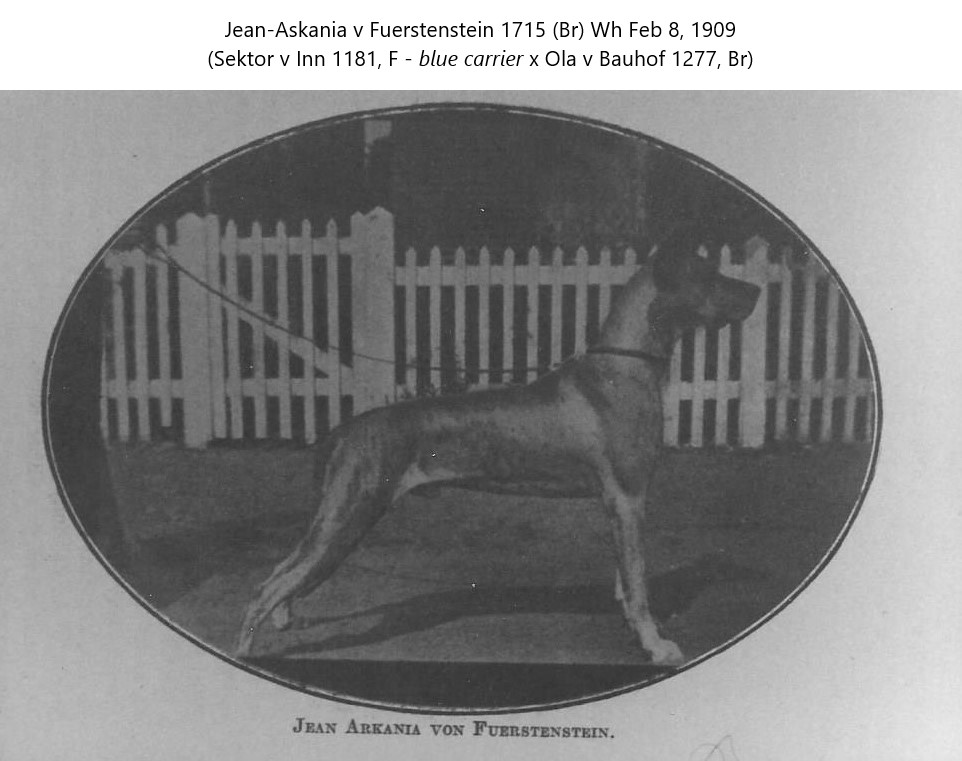 Jean Arkania von Fuerstenstein